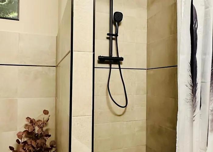 Henryk 公寓 巴特萨克萨