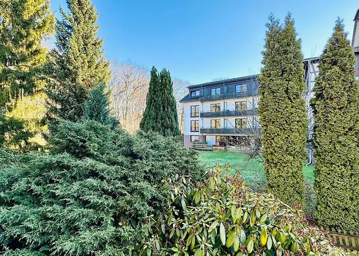 公寓 Henryk 巴特萨克萨