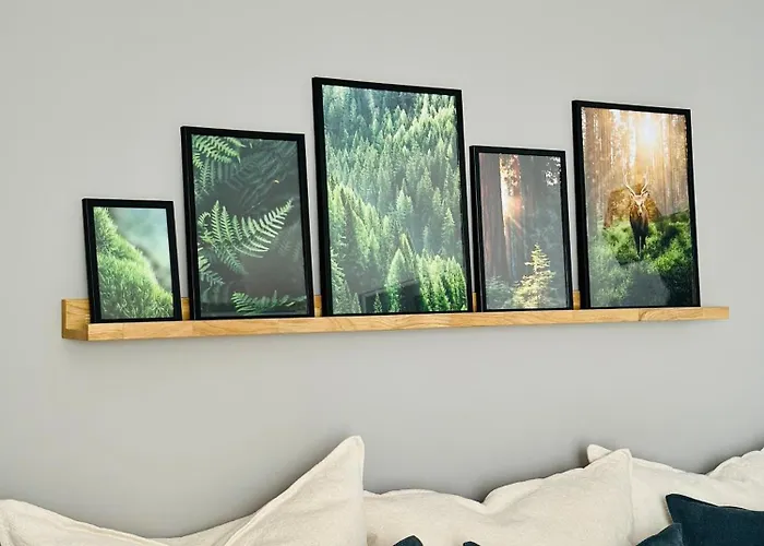 公寓 Henryk 巴特萨克萨